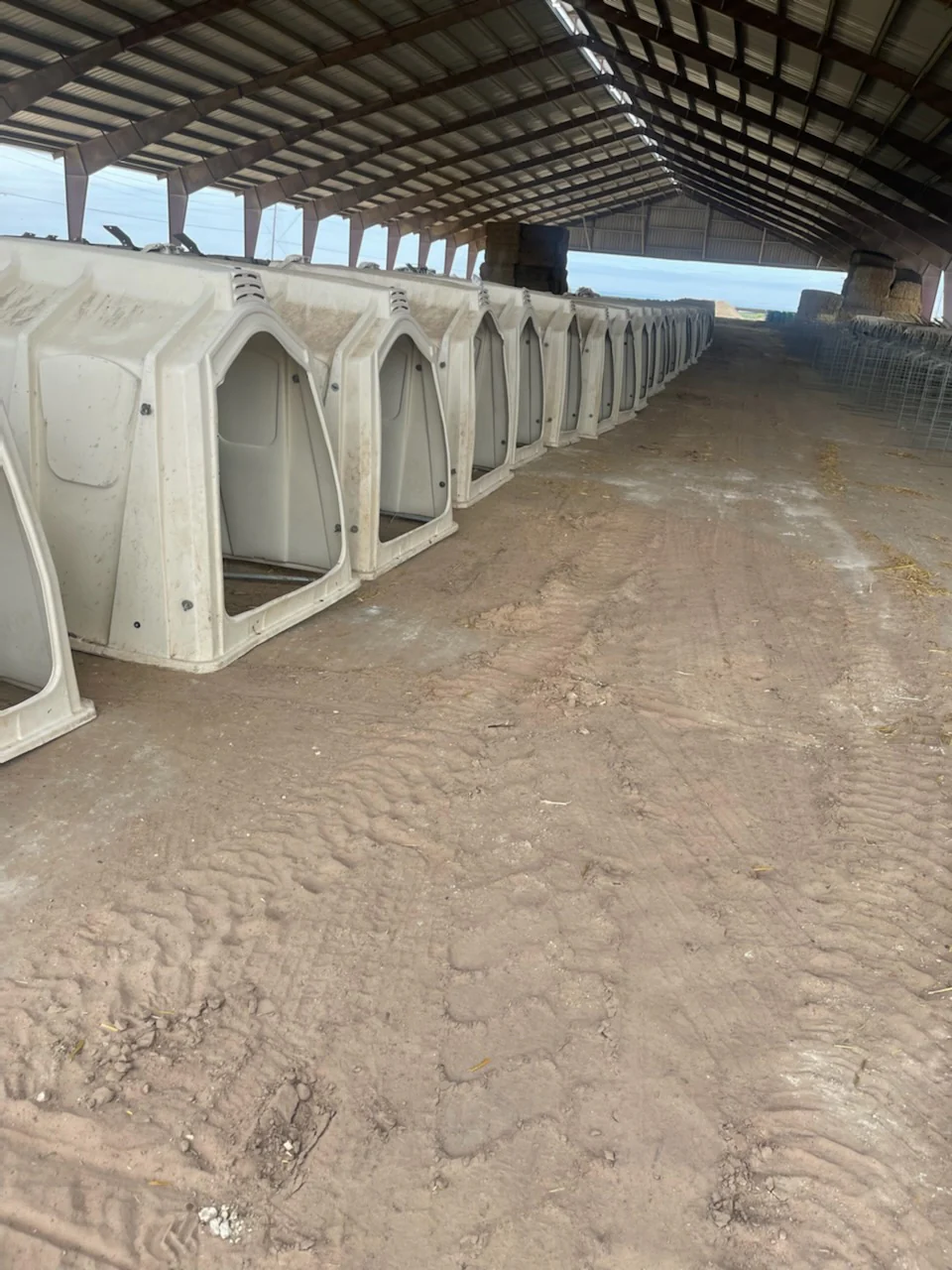#DD2187 - Calf-Tel Calf Hutches - TX - Image 5