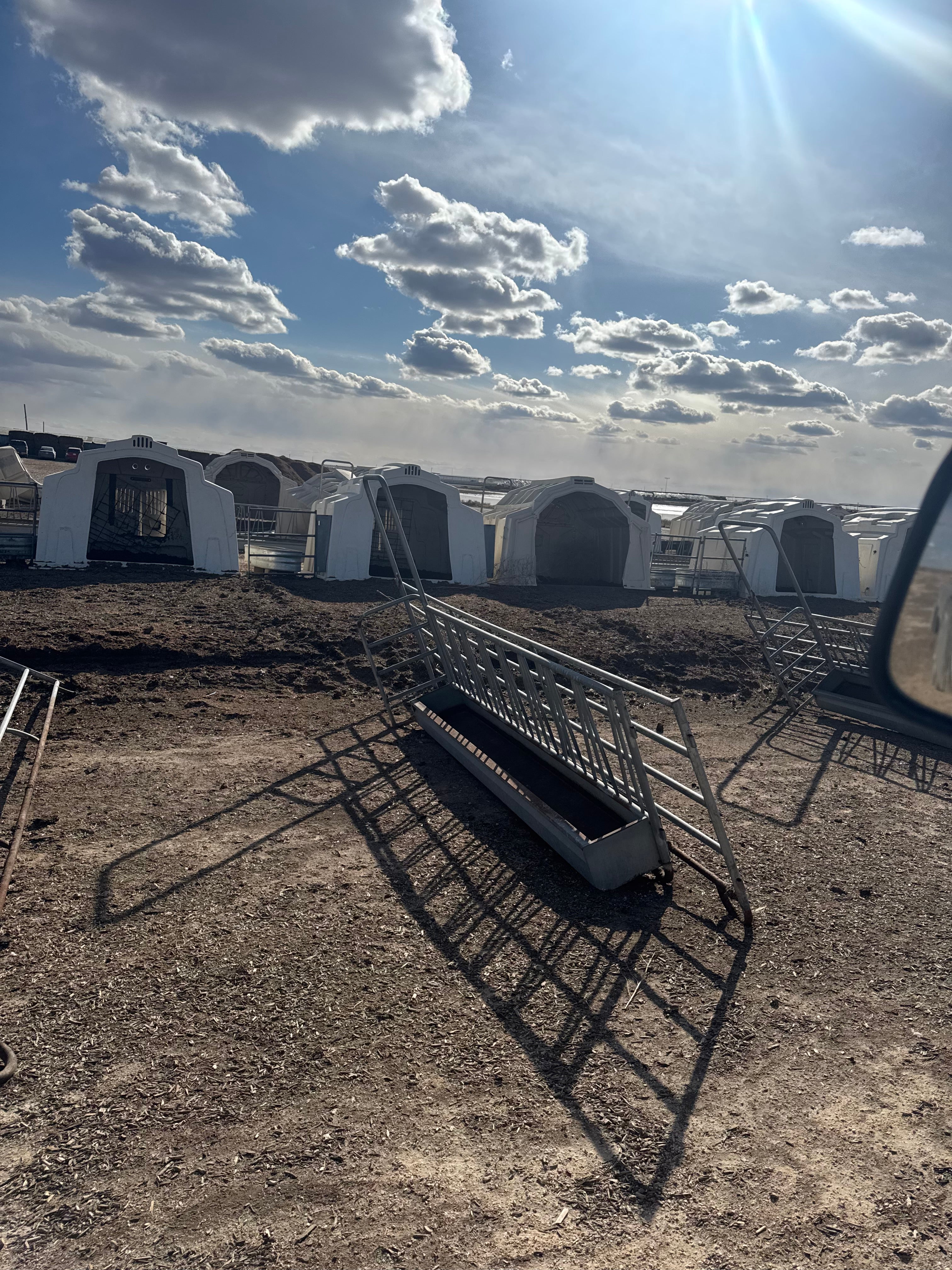 #DD2488 - Agriplastics and Calf-Tel Super Hutches and Fencing- TX - Image 3