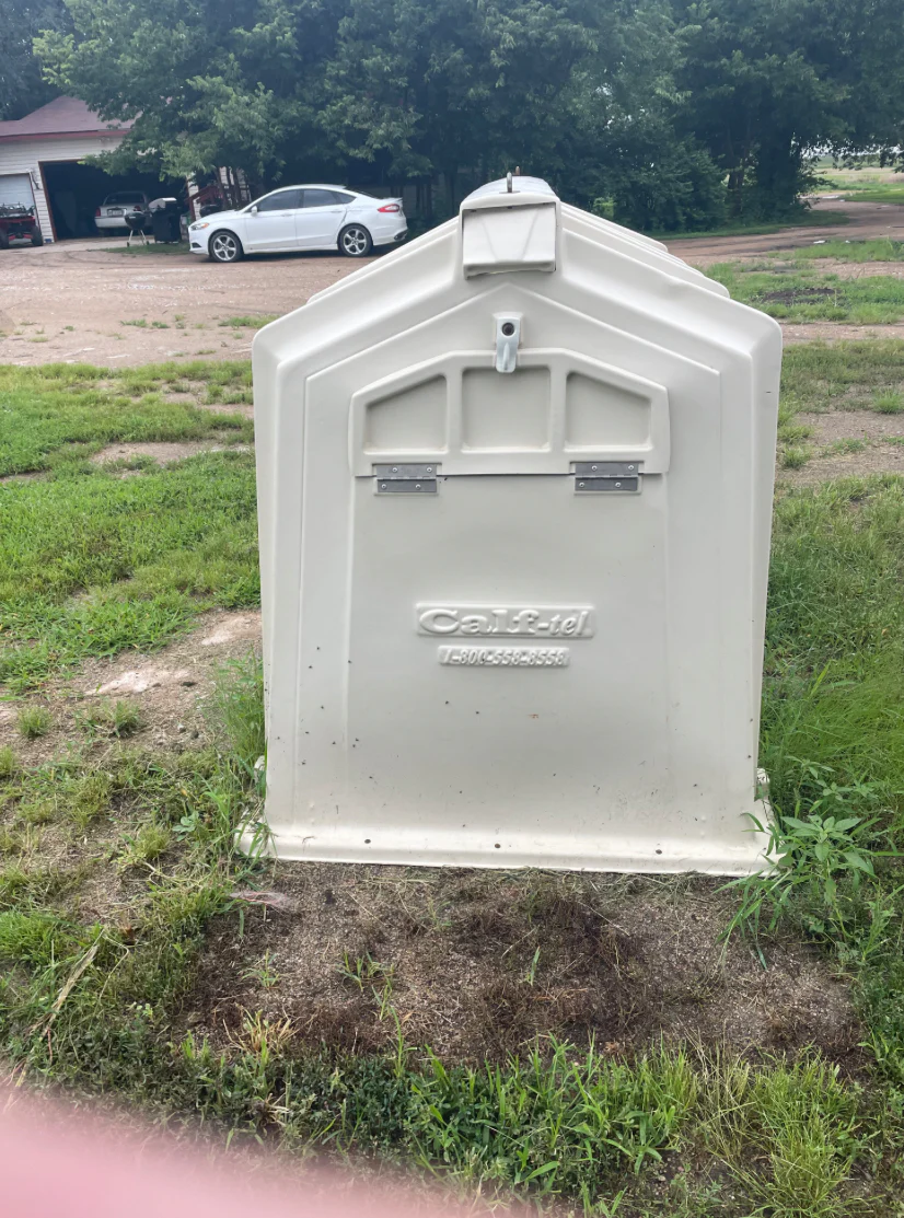 #DD2883 - Calf Tel Hutches- NE - Image 4