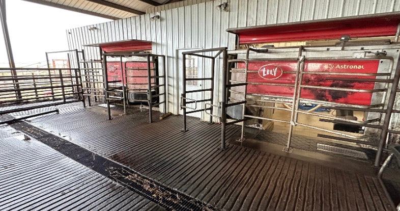 #DD2922 - Lely A5 Robotic Milking System - MO - Image 3